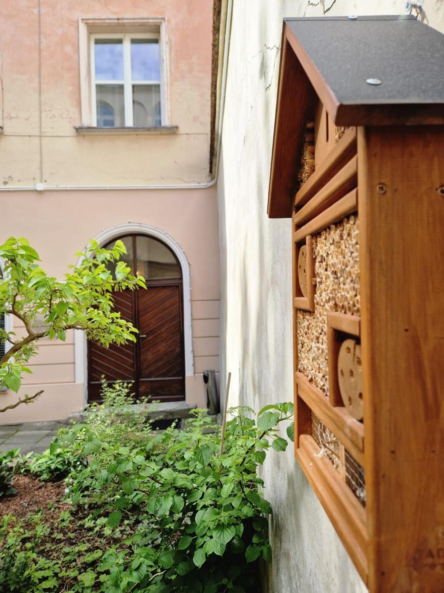 Apartament Brokilon House Kraków Zewnętrze zdjęcie